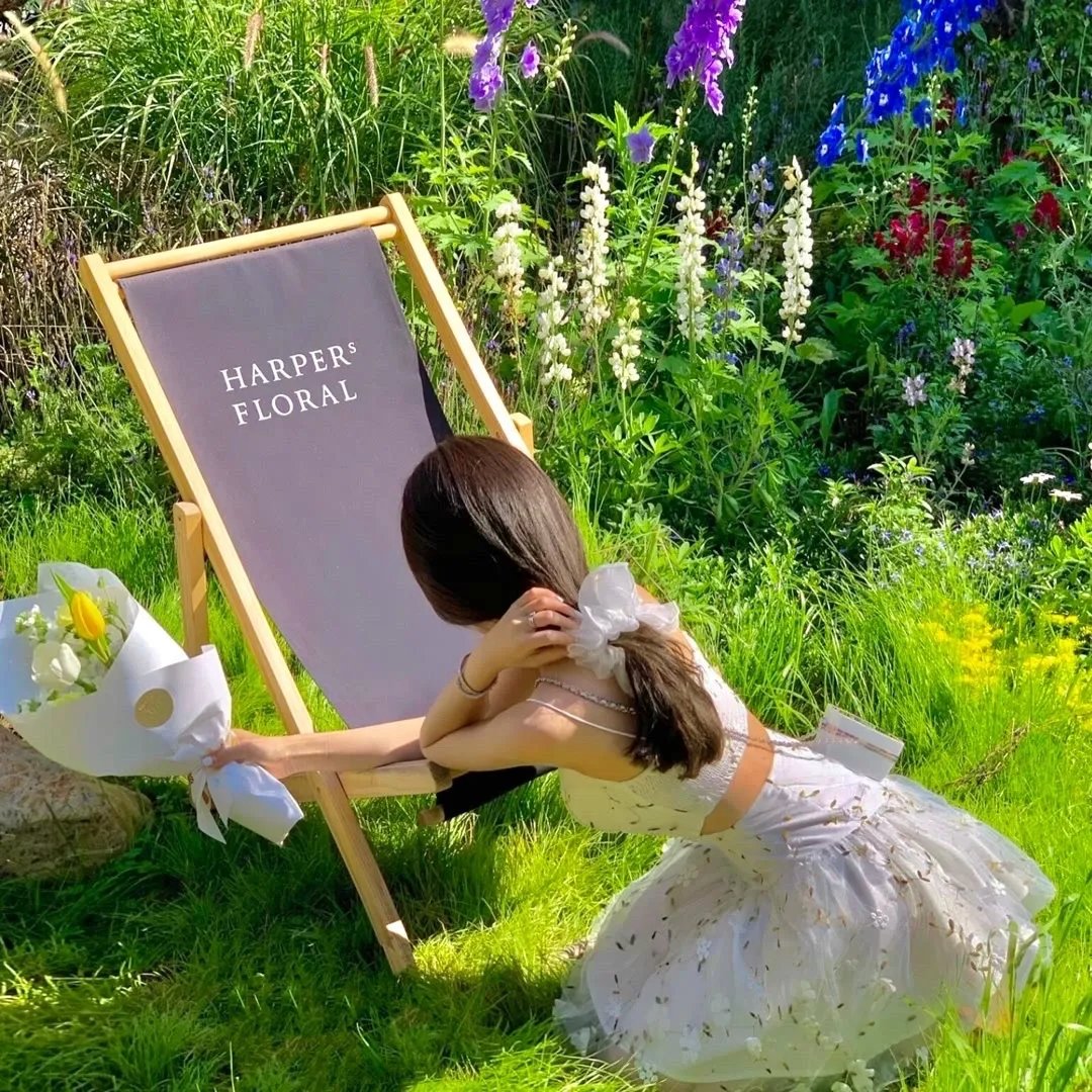 陛下今天恋爱脑了吗